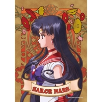Jigsaw puzzle - Sailor Moon / Sailor Mars