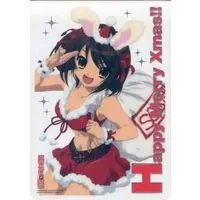Character Card - Haruhi / Suzumiya Haruhi