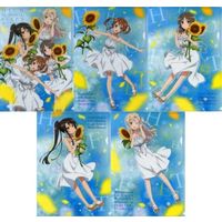 (Full Set) Plastic Folder - Haifuri / Misaki Akeno & Munetani Mashiro & Wilhelmina & China Moeka