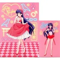 Ticket case - Sailor Moon / Sailor Mars