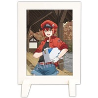 Stand Pop - Acrylic stand - Photo Flame, Album - Hataraku Saibou (Cells at Work!) / Red Blood Cell (AE3803)