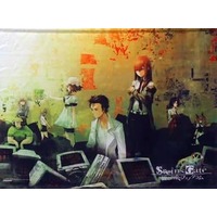 Tapestry - Steins;Gate