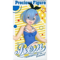 Precious Figure - Re:ZERO / Rem