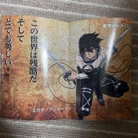 Character Card - Shingeki no Kyojin / Mikasa Ackerman