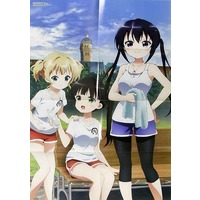 Poster - Sword Art Online / Alice & Kirima Syaro & Ujimatsu Chiya & Tedeza Rize