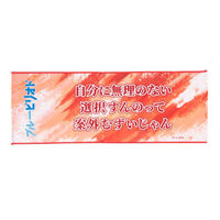 Towels - Blue Period / Kuwana Maki