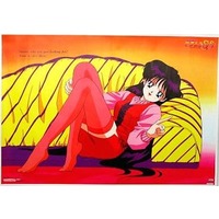 Poster - Sailor Moon / Hino Rei