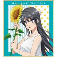 Trading Illustration Card - Seishun Buta Yarou wa Bunny Girl-senpai no Yume wo Minai (Rascal Does Not Dream of Bunny Girl Senpai) / Sakurajima Mai
