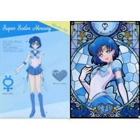 Plastic Folder - Sailor Moon / Sailor Mercury