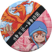 Badge - Digimon / Takenouchi Sora