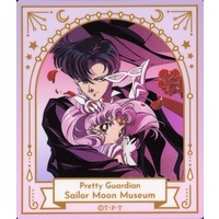 Stickers - Sailor Moon / Sailor Mini Moon (Sailor Chibi Moon) & Tuxedo Mask