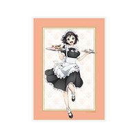 Poster - Heroine Tarumono!: Kiraware Heroine to Naisho no Oshigoto / Suzumi Hiyori