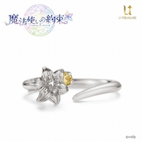 Ring - Promise of Wizard / Rutile Size-16