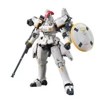 Plastic model - Gundam Model Kits (Gunpla) - Real Grade (RG) - Mobile Suit Gundam Wing / Tallgeese