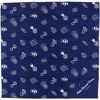 Furoshiki (Japanese Wrapping Cloth) - FGO