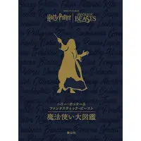 Official Guidance Book - Harry Potter Series / Newt & Lord Voldemort